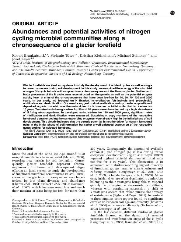 (PDF) Abundances and potential activities of nitrogen cycling microbial ...