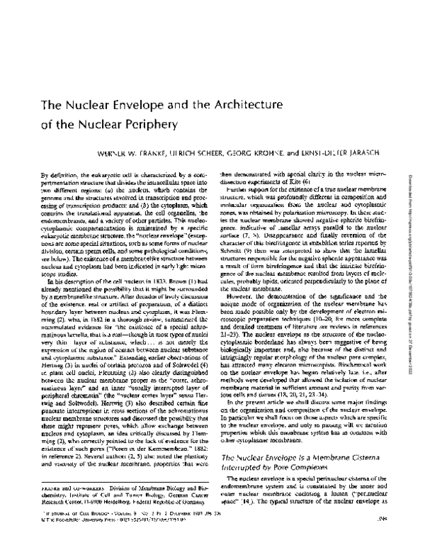 (PDF) The nuclear envelope and the architecture of the nuclear periphery