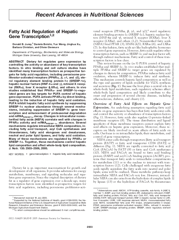 (PDF) Fatty Acid Regulation of Hepatic Gene Transcription