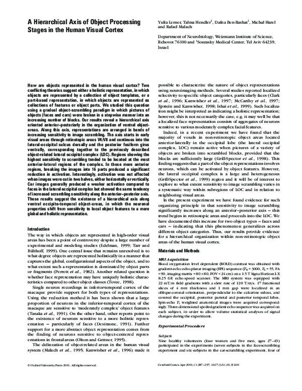 (PDF) A Hierarchical Axis of Object Processing Stages in the Human ...