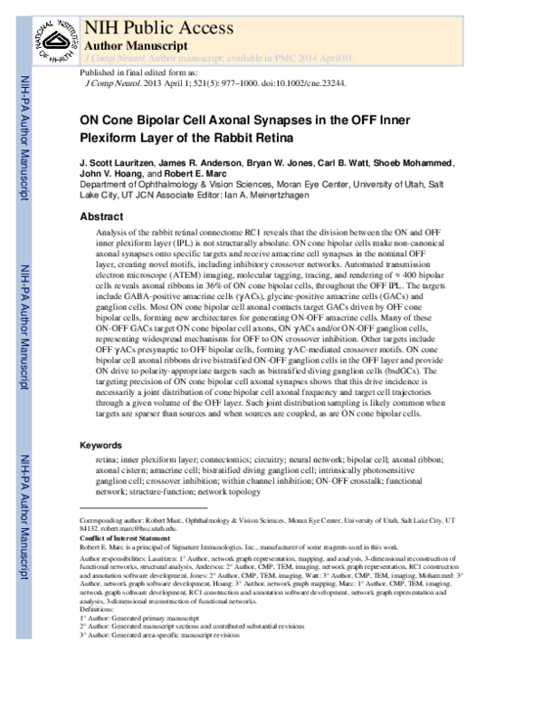 (PDF) ON cone bipolar cell axonal synapses in the OFF inner plexiform ...