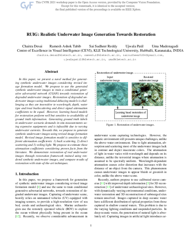 (PDF) RUIG: Realistic Underwater Image Generation Towards Restoration ...