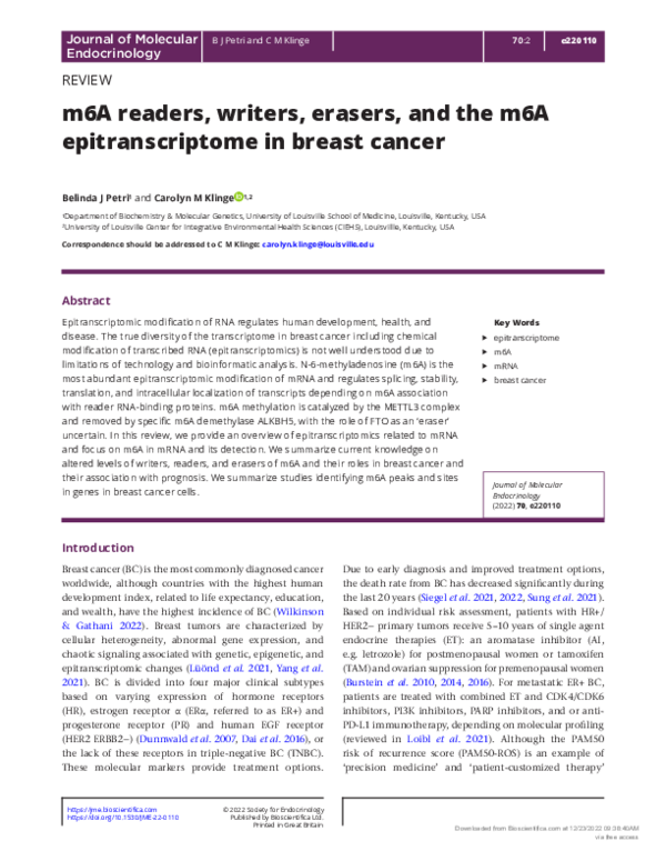 (PDF) m6A readers, writers, erasers, and the m6A epitranscriptome in ...
