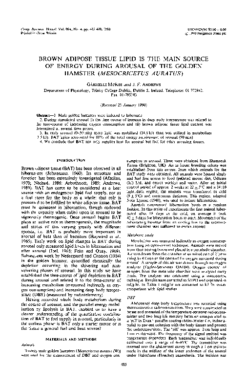 (PDF) Brown adipose tissue lipid is the main source of energy during ...
