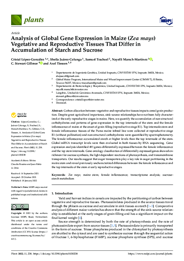 (PDF) Analysis of Global Gene Expression in Maize (Zea mays) Vegetative ...