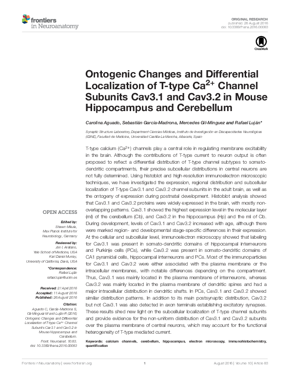 (PDF) Ontogenic Changes and Differential Localization of T-type Ca2 ...