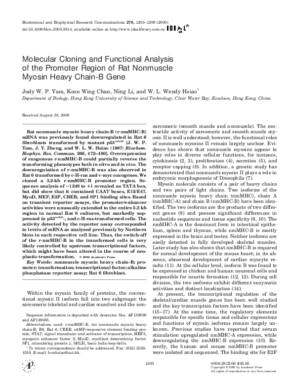 (PDF) Molecular Cloning and Functional Analysis of the Promoter Region ...