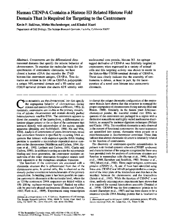 (PDF) Human CENP-A contains a histone H3 related histone fold domain ...