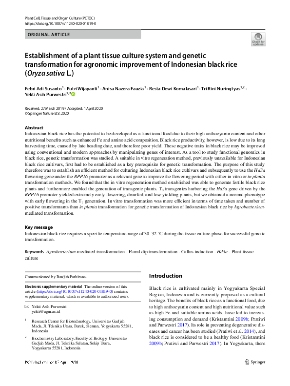 (PDF) Establishment of a plant tissue culture system and genetic ...