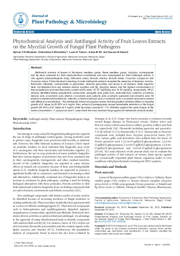 (PDF) Phytochemical Analysis and Antifungal Activity of Fruit Leaves ...