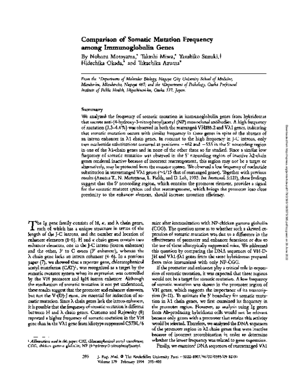 (PDF) Comparison of somatic mutation frequency among immunoglobulin genes