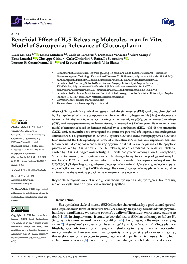 (PDF) Beneficial Effect of H2S-Releasing Molecules in an In Vitro Model