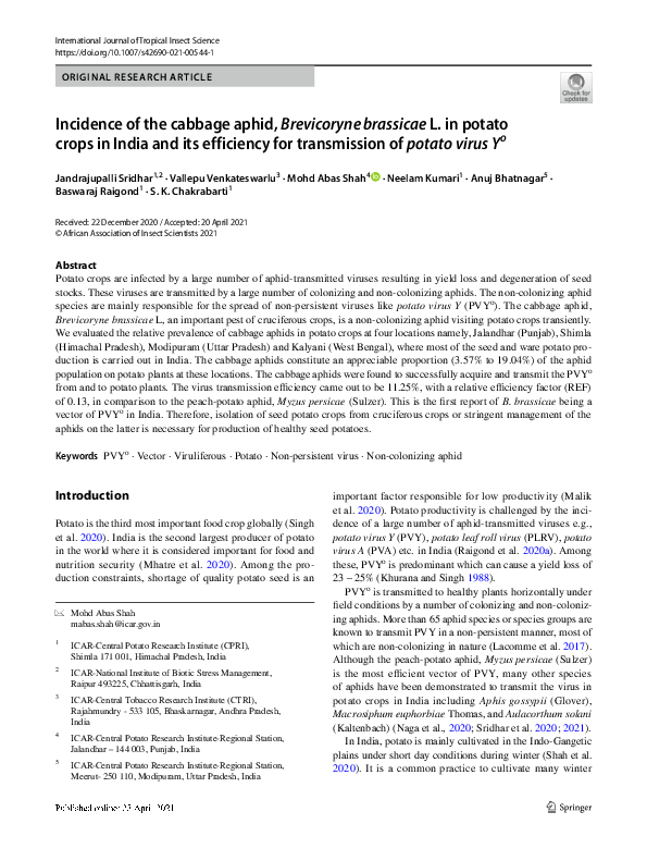 (PDF) Incidence of the cabbage aphid, Brevicoryne brassicae L. in ...