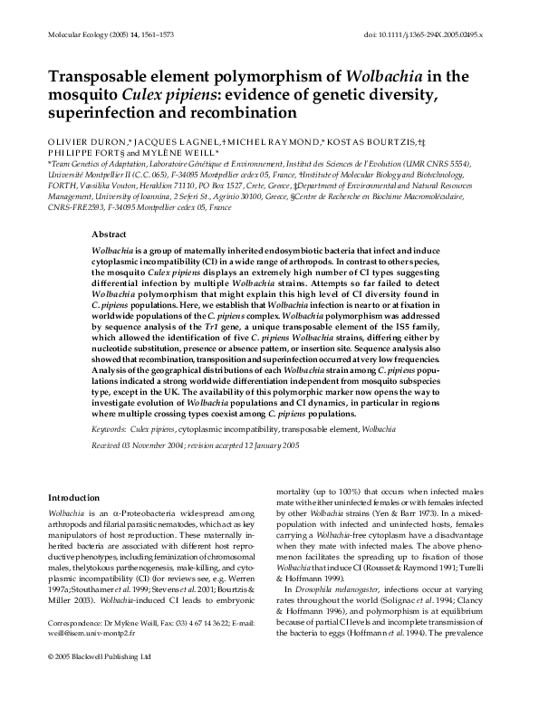 (PDF) Transposable element polymorphism of Wolbachia in the mosquito ...