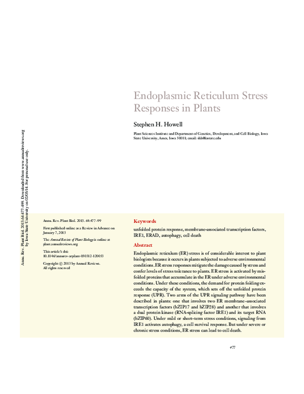 (PDF) Endoplasmic Reticulum Stress Responses in Plants