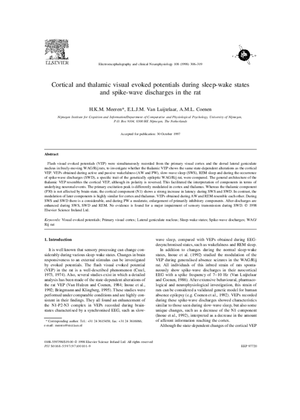 (PDF) Cortical and thalamic visual evoked potentials during sleep-wake ...