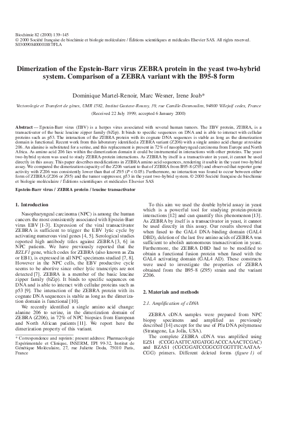 (PDF) Dimerization of the Epstein-Barr virus ZEBRA protein in the yeast ...