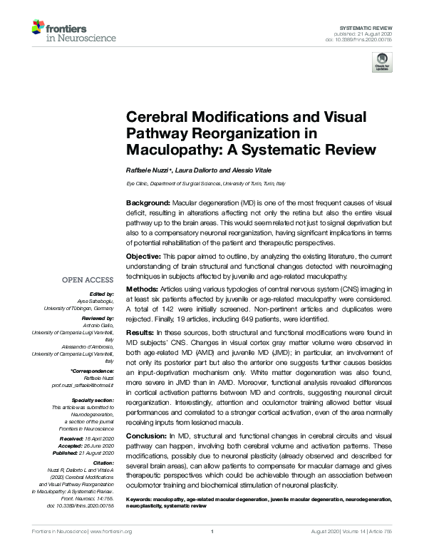 (PDF) Cerebral Modifications and Visual Pathway Reorganization in ...