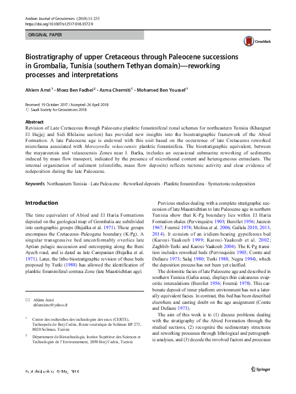 (PDF) Biostratigraphy of upper Cretaceous through Paleocene successions ...