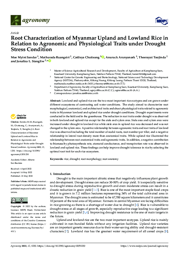 (PDF) Root Characterization of Myanmar Upland and Lowland Rice in ...