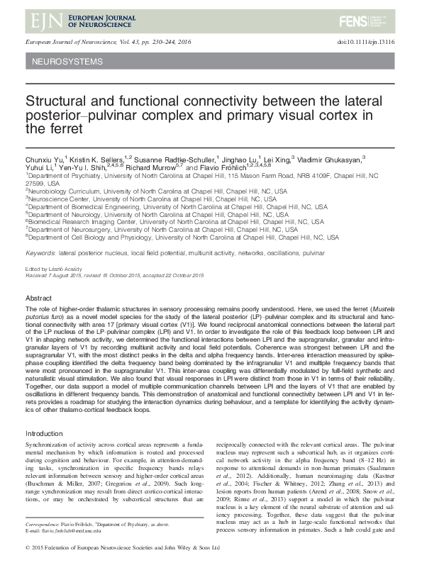 (PDF) Structural and Functional Connectivity between the Lateral ...