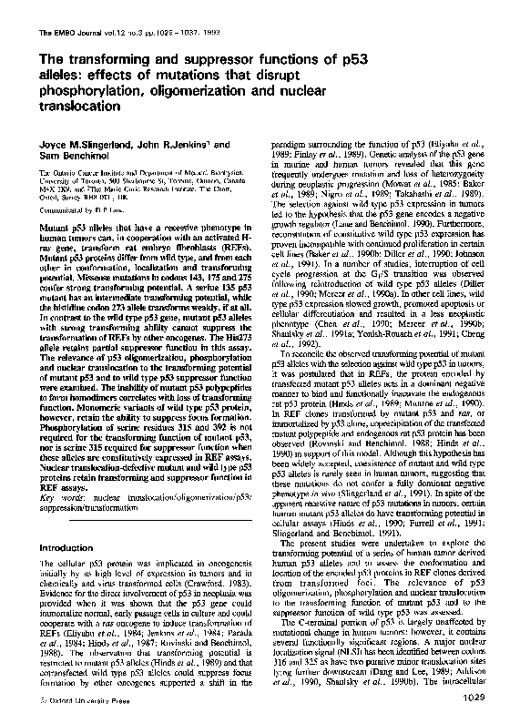(PDF) The transforming and suppressor functions of p53 alleles: effects ...