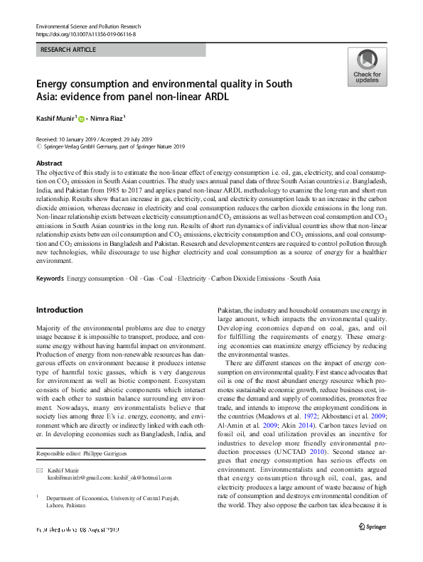 (PDF) Energy consumption and environmental quality in South Asia ...