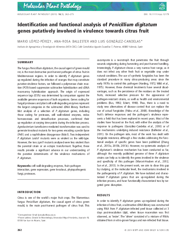 (PDF) Identification and functional analysis ofPenicillium ...