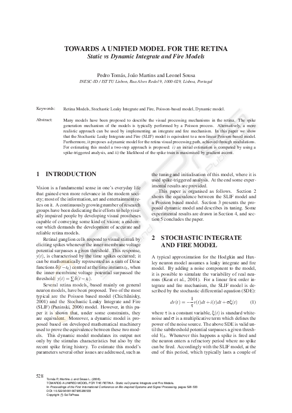 (PDF) TOWARDS A UNIFIED MODEL FOR THE RETINA - Static vs Dynamic ...