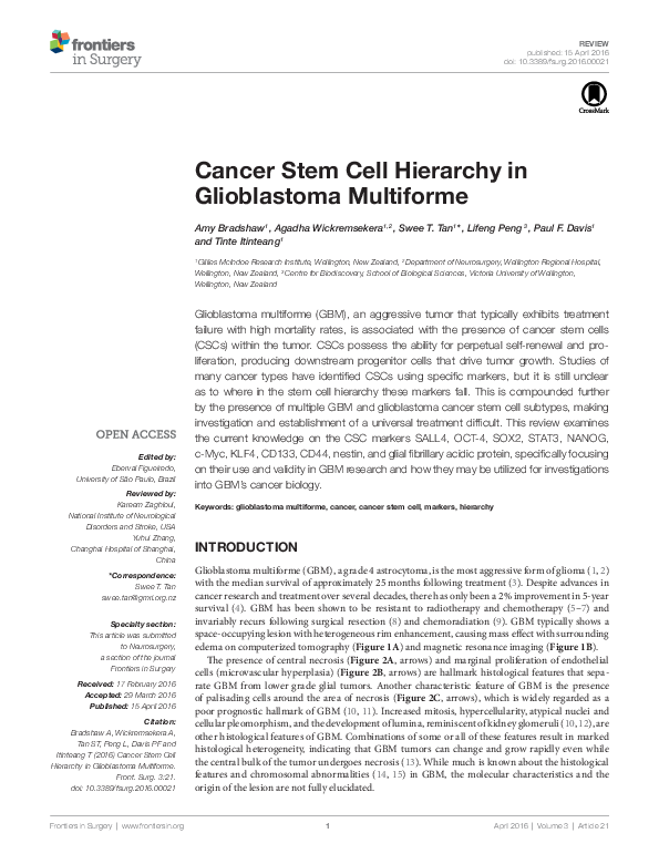 (PDF) Cancer Stem Cell Hierarchy in Glioblastoma Multiforme