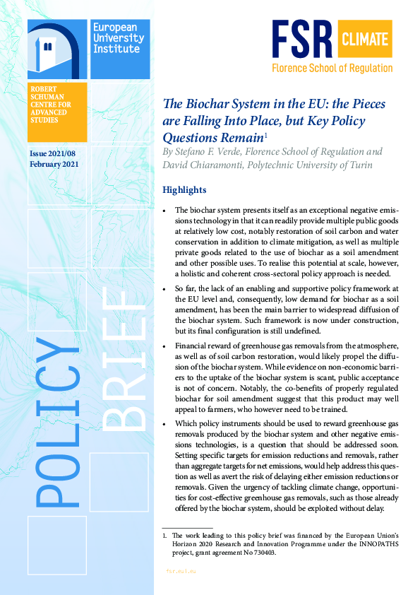(PDF) The biochar system in the EU : the pieces are falling into place ...