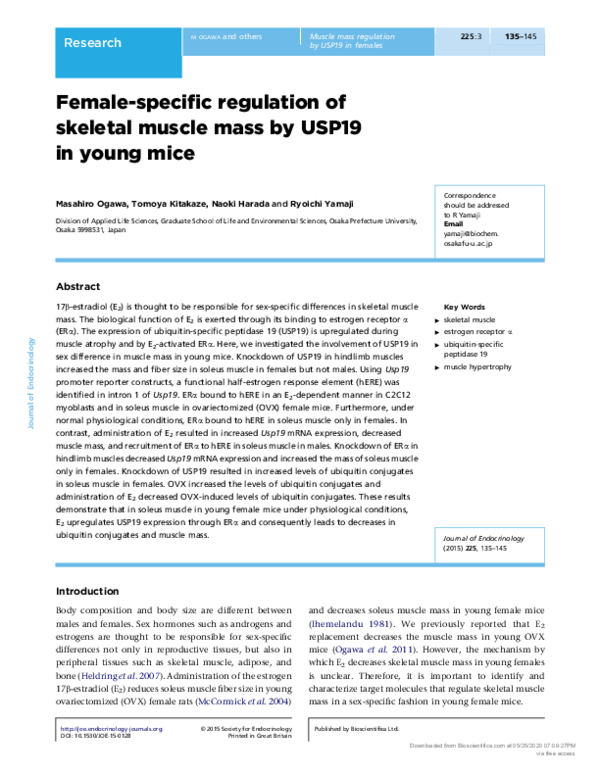 (PDF) Female-specific regulation of skeletal muscle mass by USP19 in ...