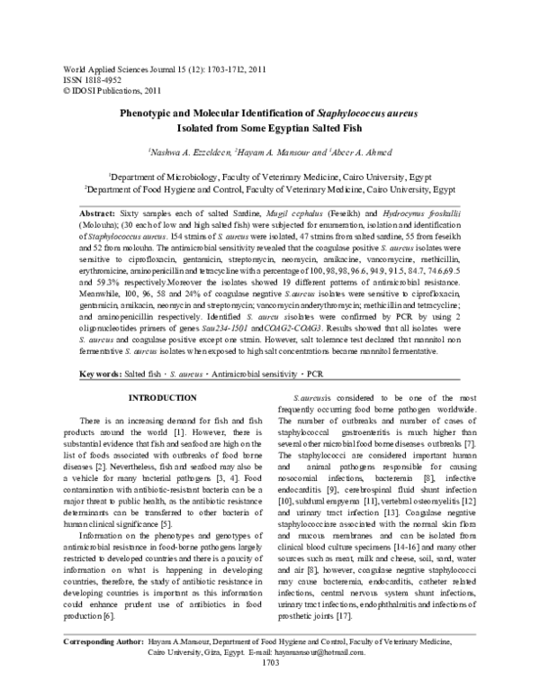 (PDF) Phenotypic and Molecular Identification of Staphylococcus aureus ...