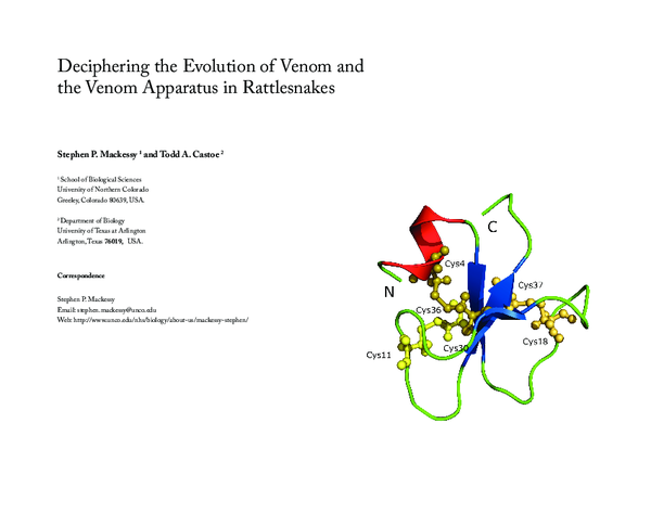 (PDF) Deciphering the Evolution of Venom and the Venom Apparatus in ...