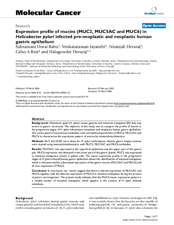 (PDF) Expression profile of mucins (MUC2, MUC5AC and MUC6) in ...