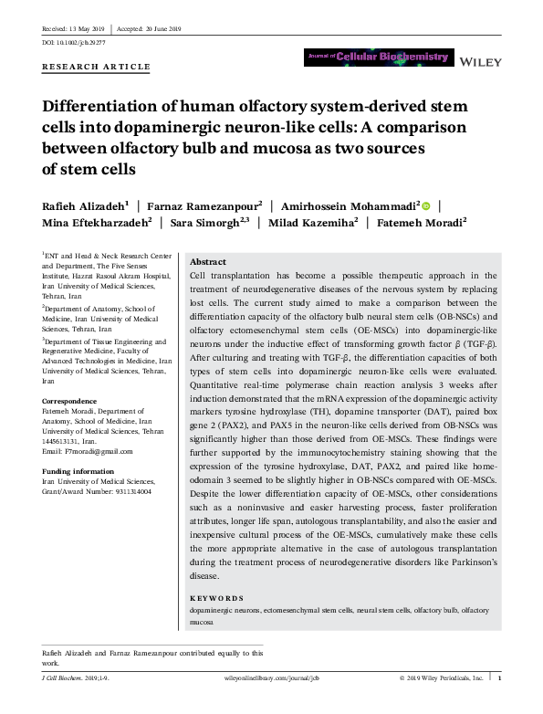 (PDF) Differentiation of human olfactory system‐derived stem cells into ...