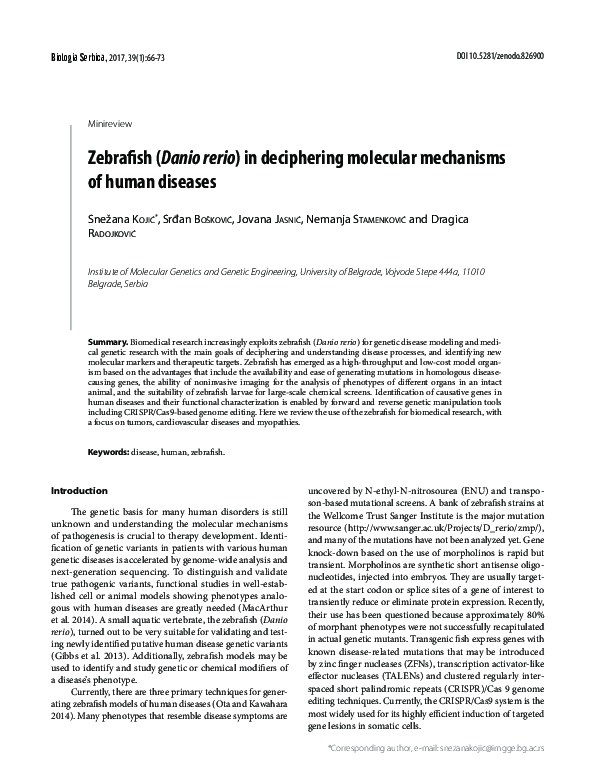 (PDF) Zebrafish (Danio Rerio) In Deciphering Molecular Mechanisms Of ...