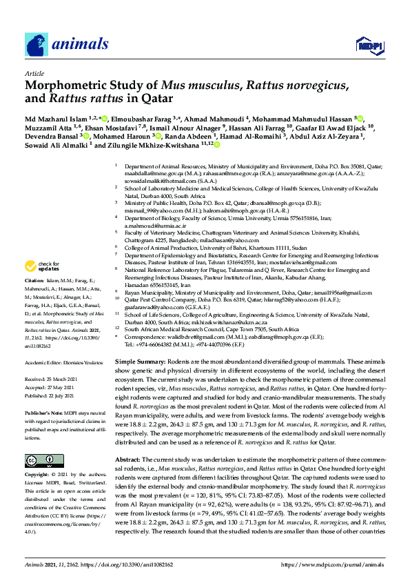 (PDF) Morphometric Study of Mus musculus, Rattus norvegicus, and Rattus ...