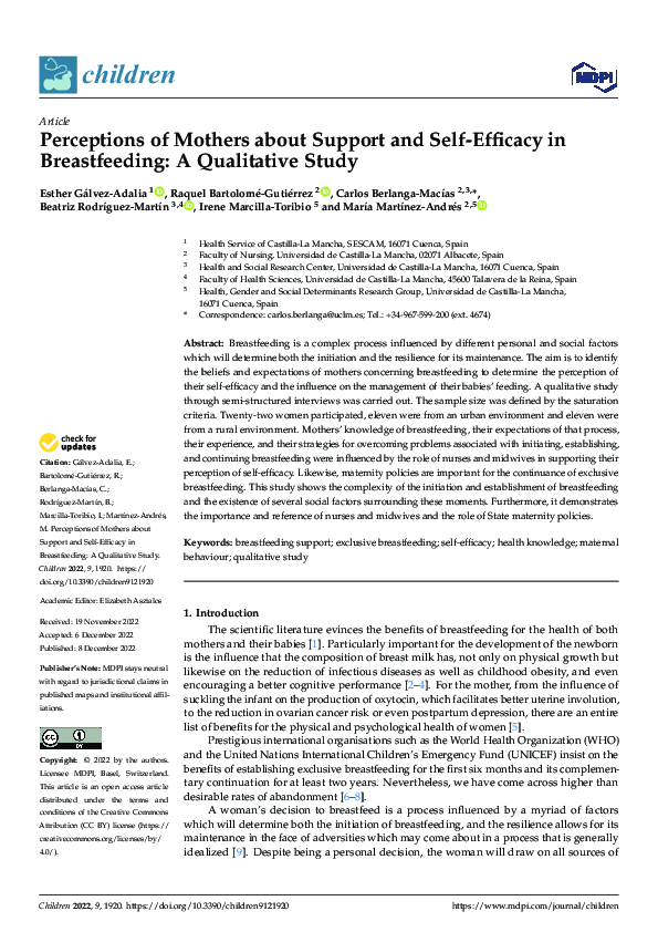 (PDF) Perceptions of Mothers about Support and Self-Efficacy in ...