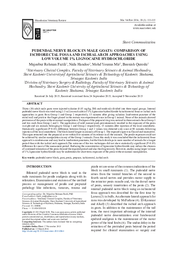 (PDF) Pudendal Nerve Block in Male Goats Comparison of Ischiorectal