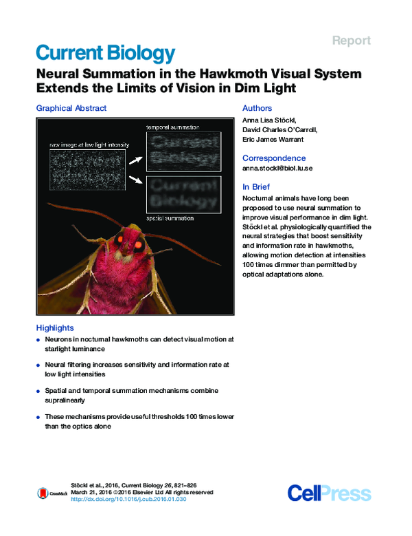(PDF) Neural Summation in the Hawkmoth Visual System Extends the Limits ...