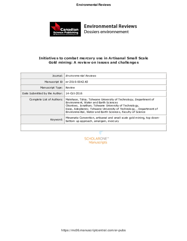 (PDF) Initiatives to combat mercury use in artisanal small-scale gold ...