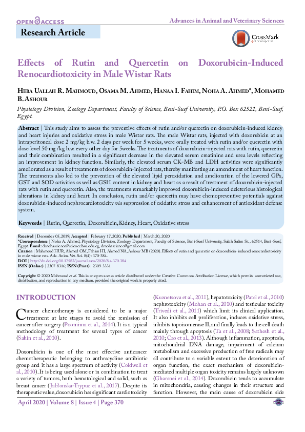 (PDF) Effects of Rutin and Quercetin on Doxorubicin-Induced ...