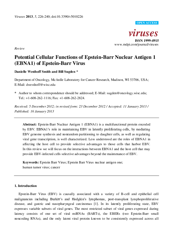 (PDF) Potential Cellular Functions of Epstein-Barr Nuclear Antigen 1 ...