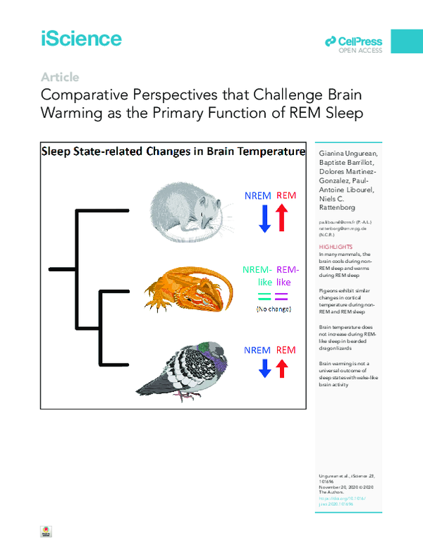 (PDF) Comparative Perspectives that Challenge Brain Warming as the ...