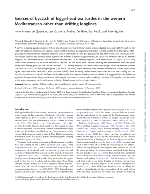 (PDF) Sources of bycatch of loggerhead sea turtles in the western ...
