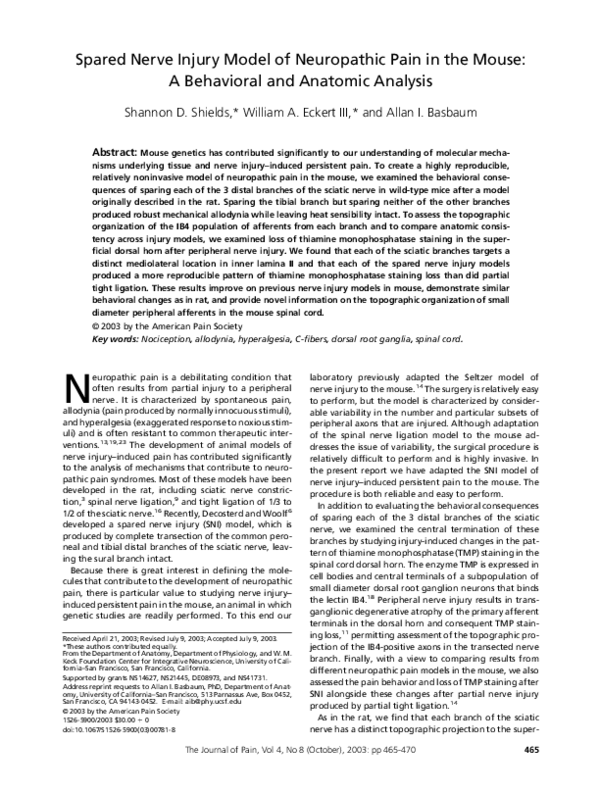 (PDF) Spared nerve injury model of neuropathic pain in the mouse: a ...