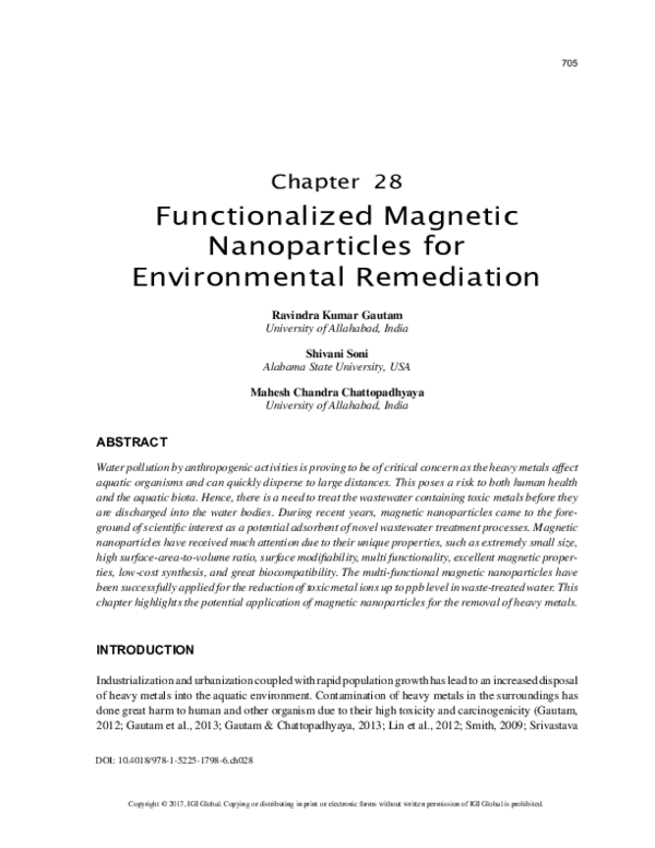 (PDF) Functionalized Magnetic Nanoparticles for Environmental Remediation