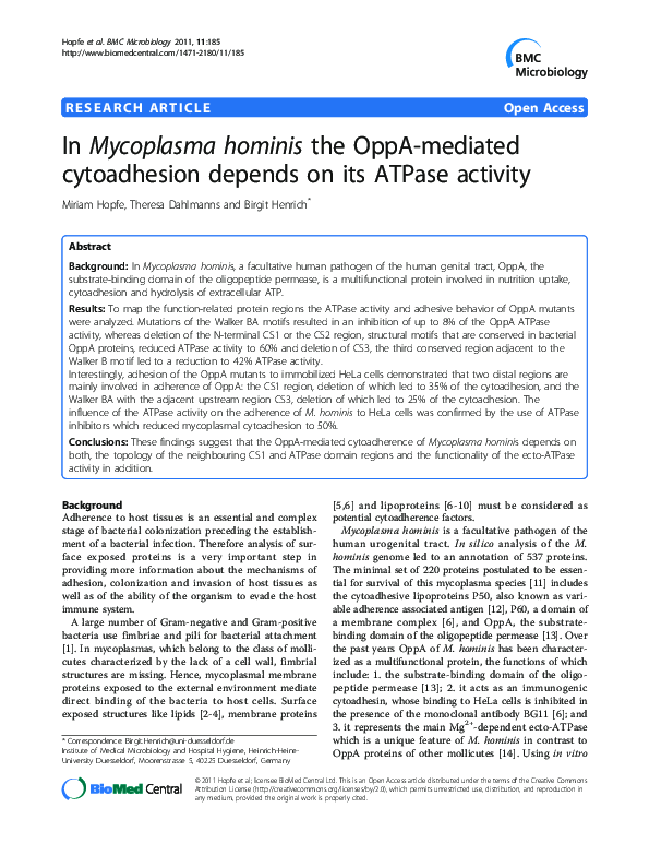 (PDF) In Mycoplasma hoministhe OppA-mediated cytoadhesion depends on ...
