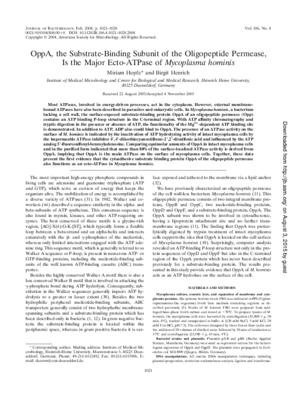 (PDF) OppA, the Substrate-Binding Subunit of the Oligopeptide Permease ...
